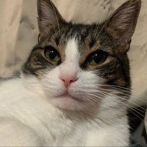 Meet your Posher, Stacey